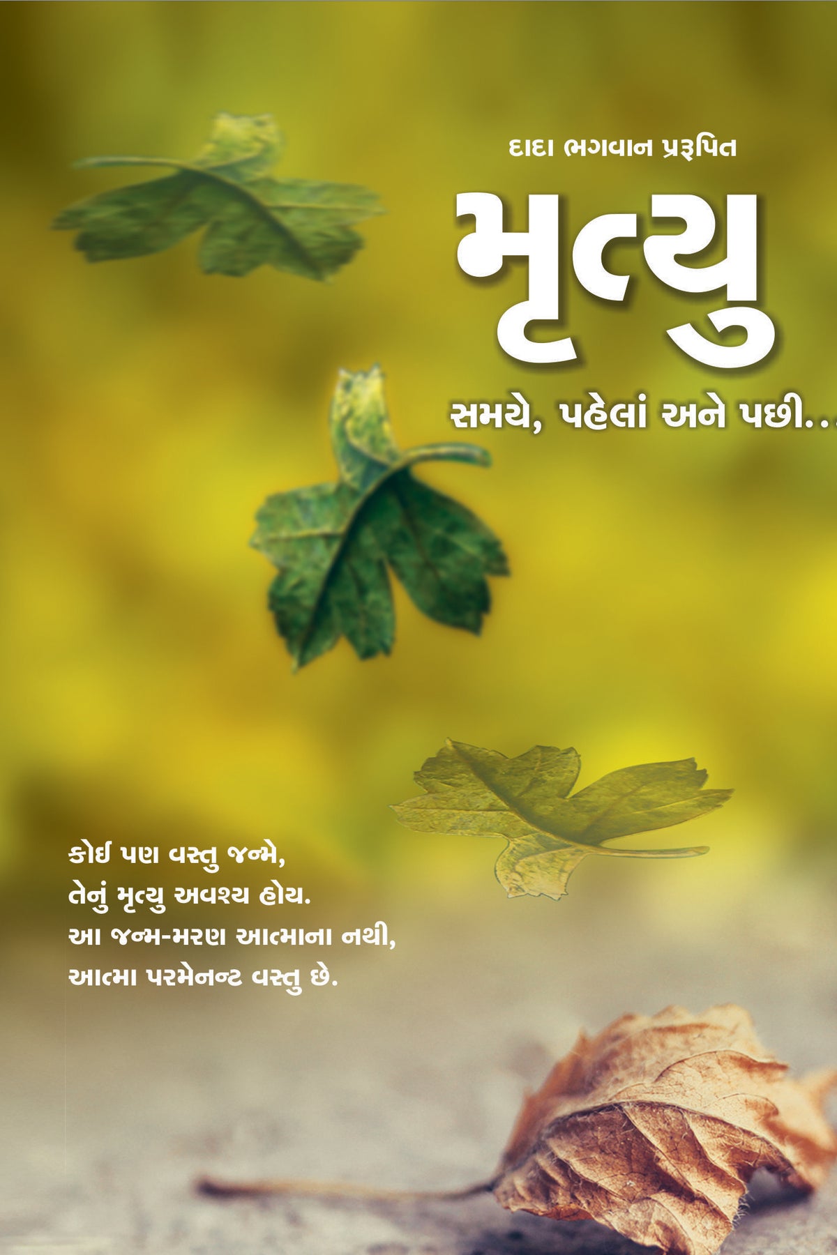 મૃત્યુ સમયે પહેલાં ને પછી…