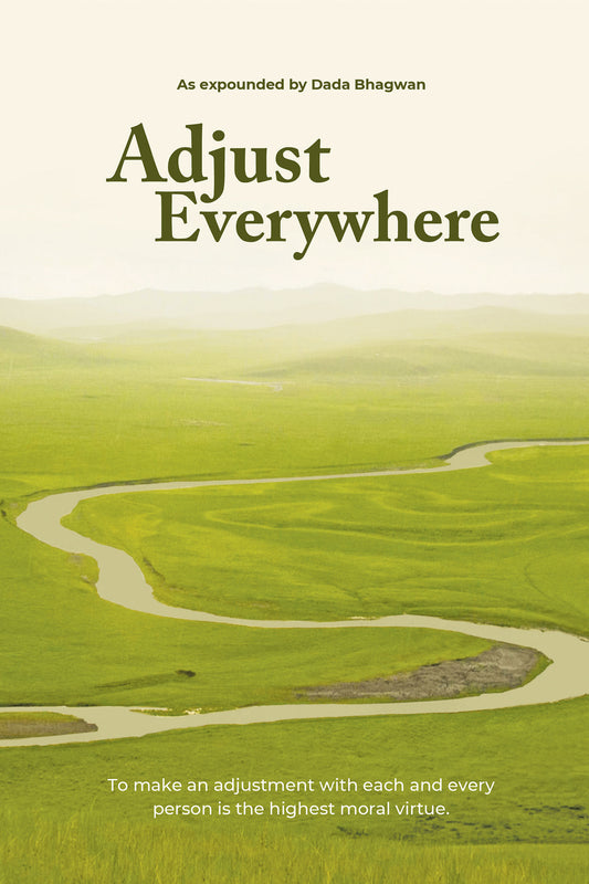 Adjust Everywhere