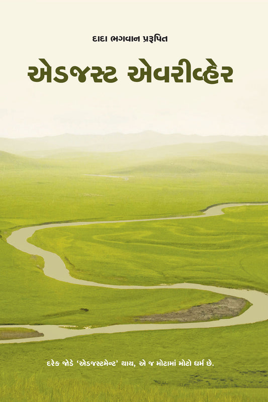 એડજસ્ટ એવરીવ્હેર