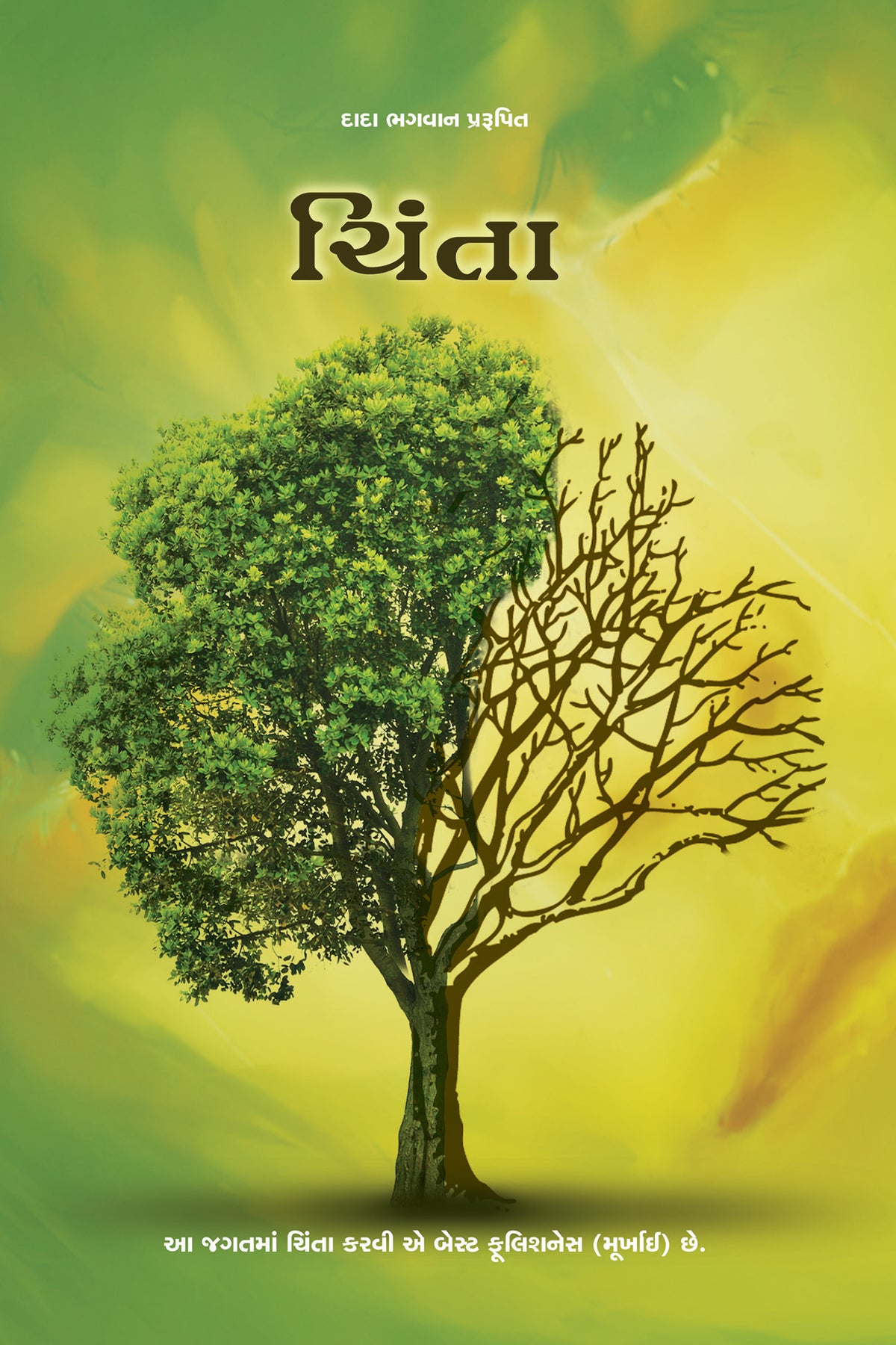 ચિંતા