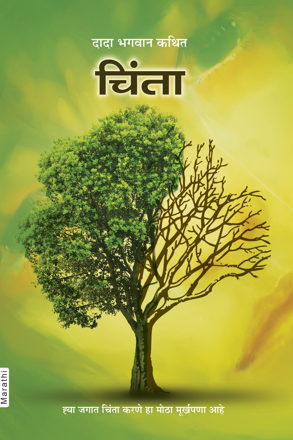 चिंता (Marathi)