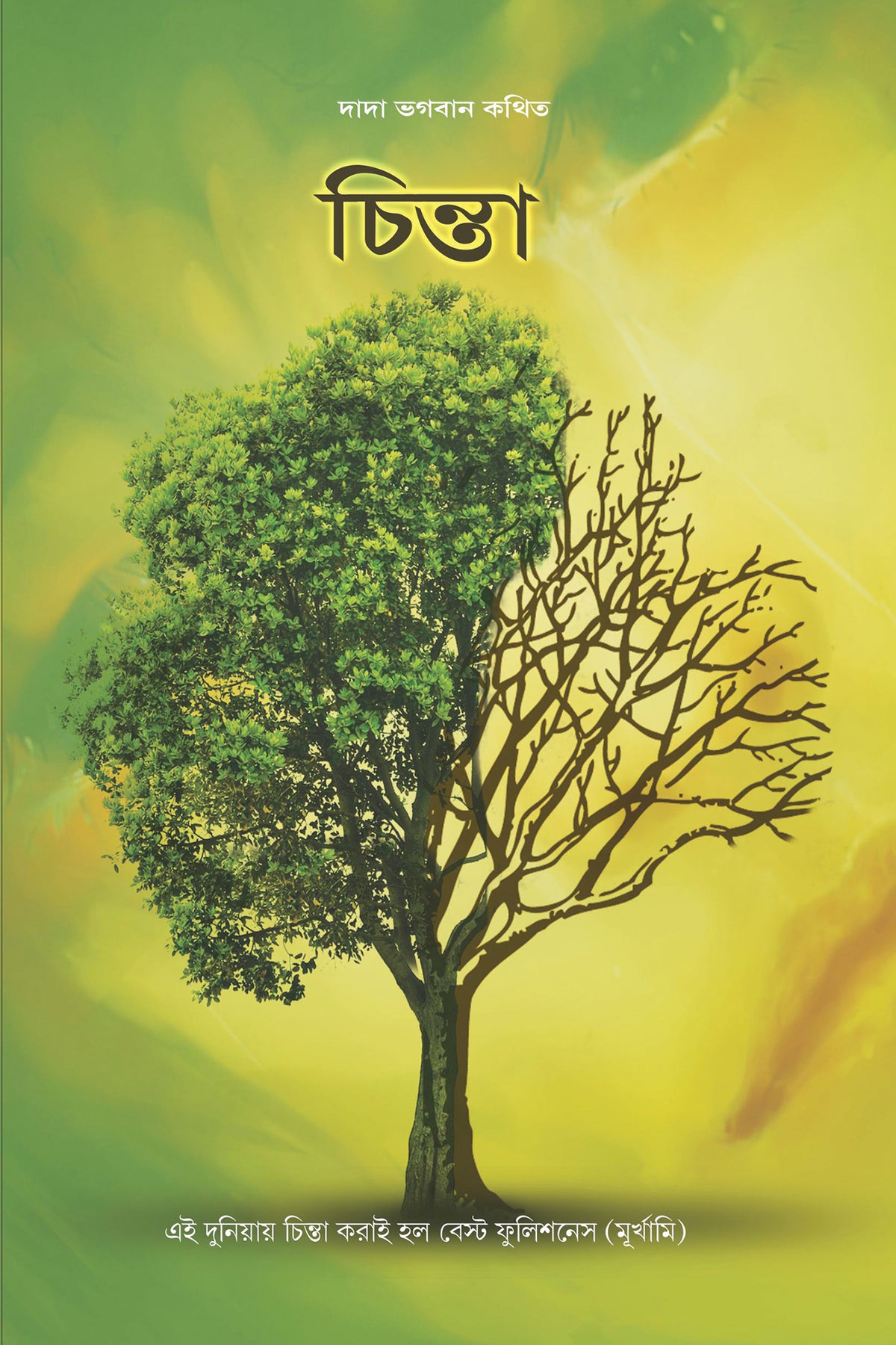 Worries (In Bengali)