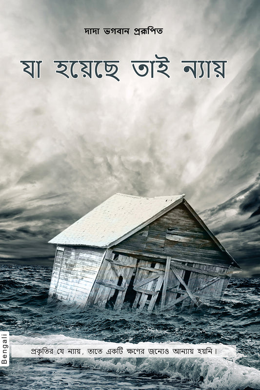 যা হয়েছে তাই ন্যায়